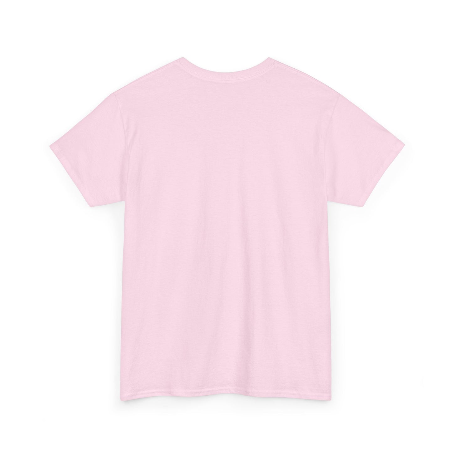 F around and find out Heavy Cotton Tee